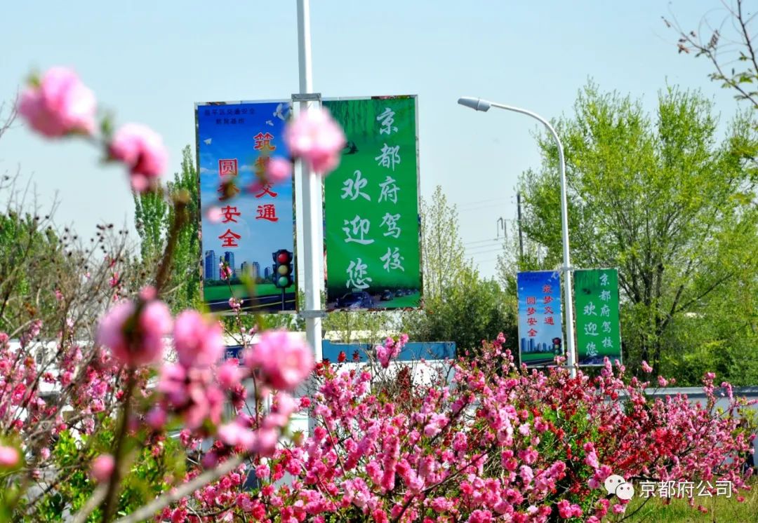 京都府駕校