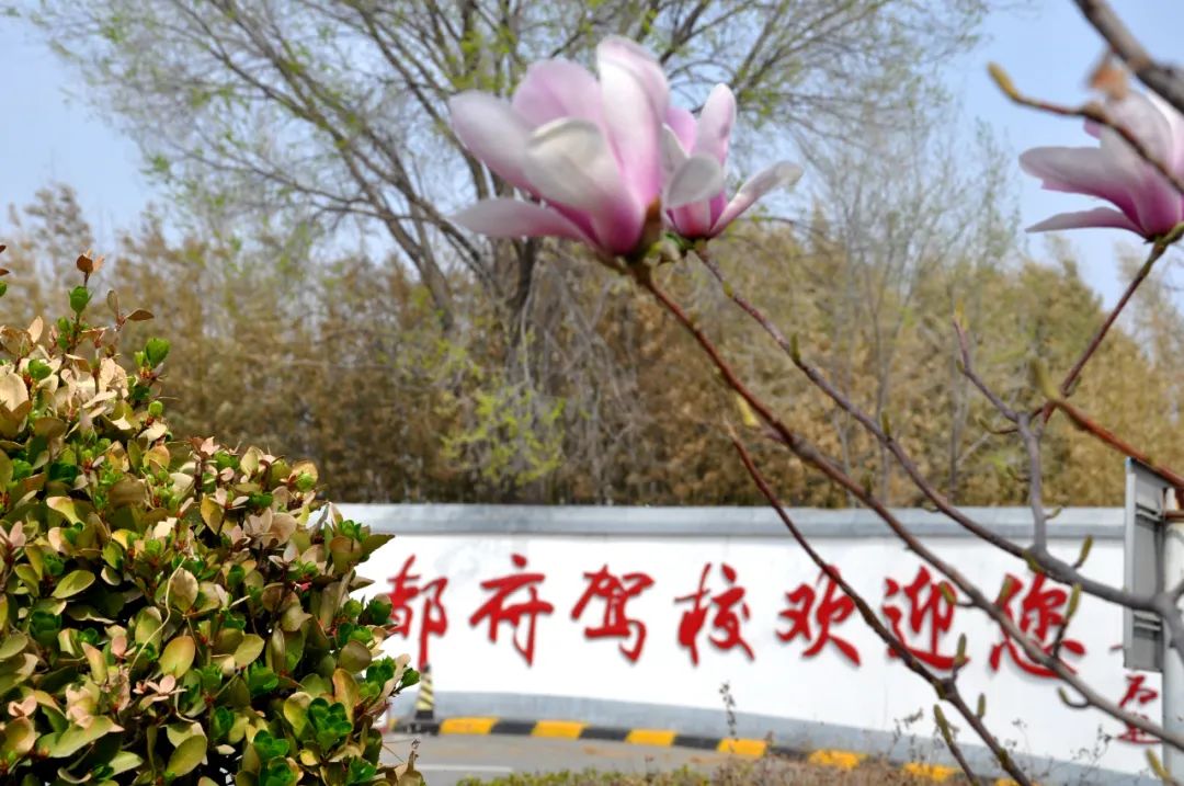 京都府駕校