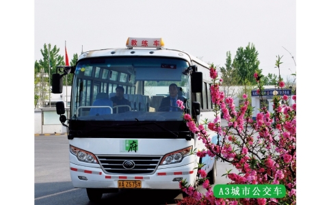 初學(xué)/增駕城市公交駕照A3本
